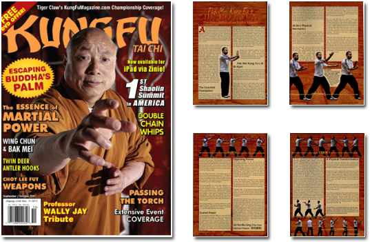 Pak Mei Kung Fu - Jik Bo Kyun - The Foundation of an Entire System by Sifu Matt Martin